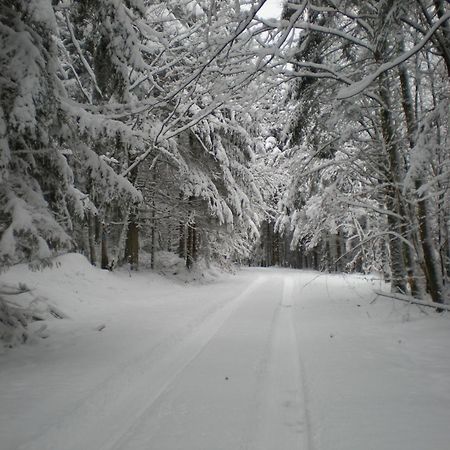 Gite De La Mortagne Экстерьер фото